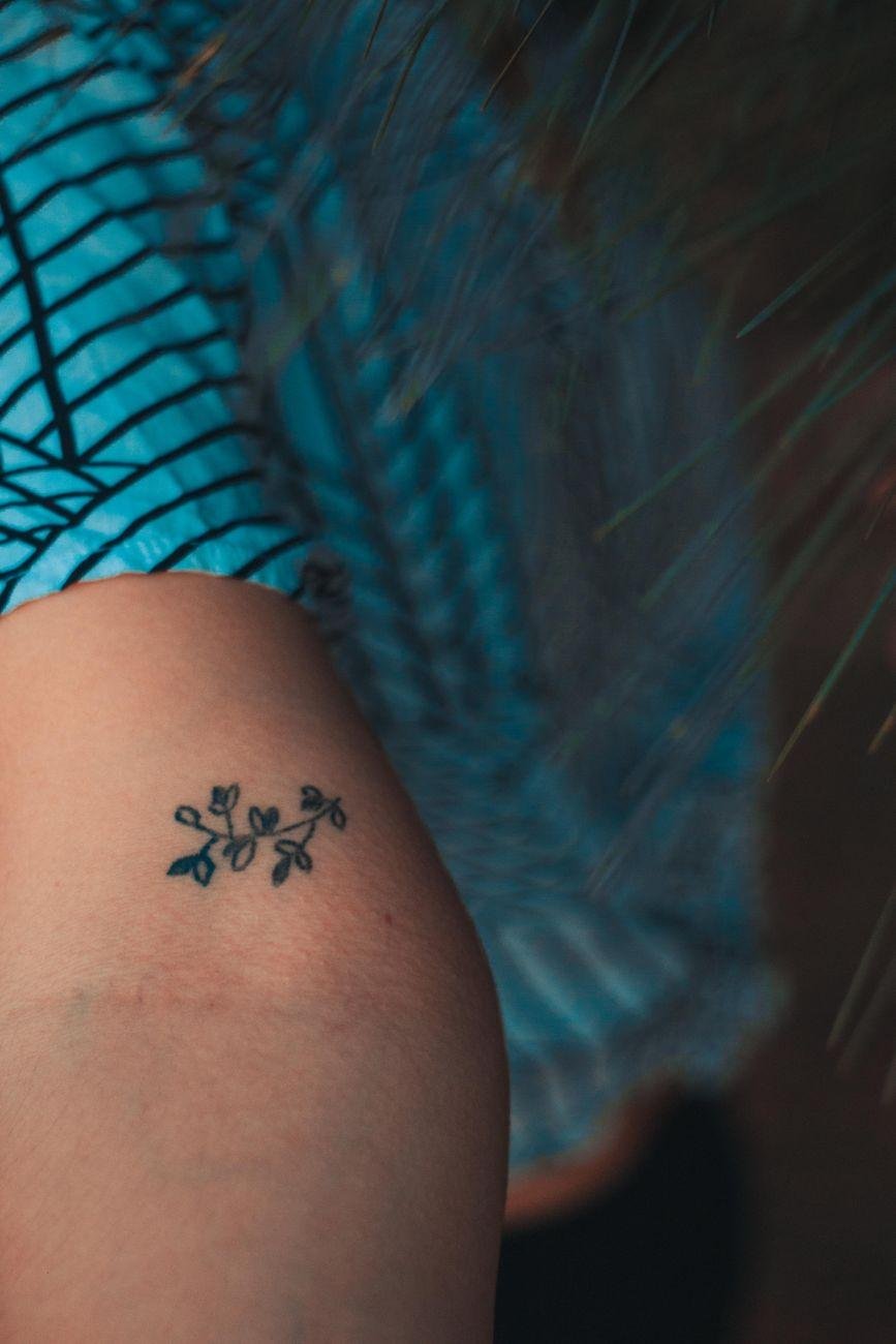 Minimalist piece, Ribs