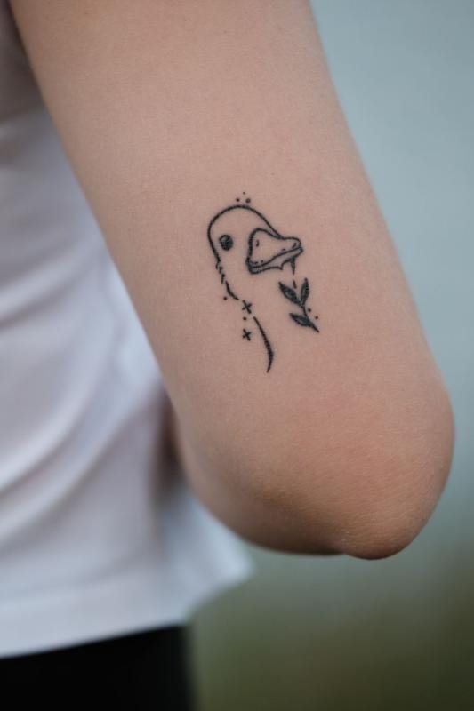 Minimalist piece, Stomach
